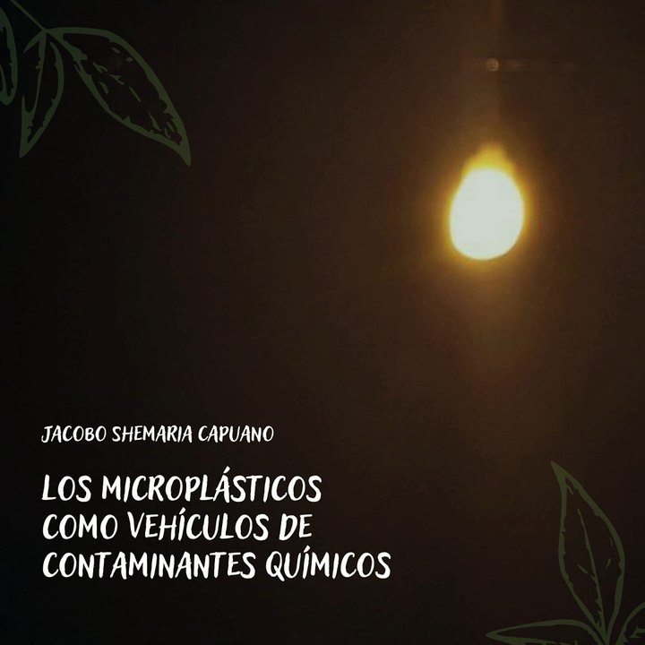 -Jacobo Shemaria Capuano- Los microplásticos como vehículos de contaminantes químicos: (Parte 1) (Creado por @JacoboShemariaCapuano)