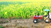 diy mini tractor making mini rice processing machine _ mini rice mill machinery @sanocreator