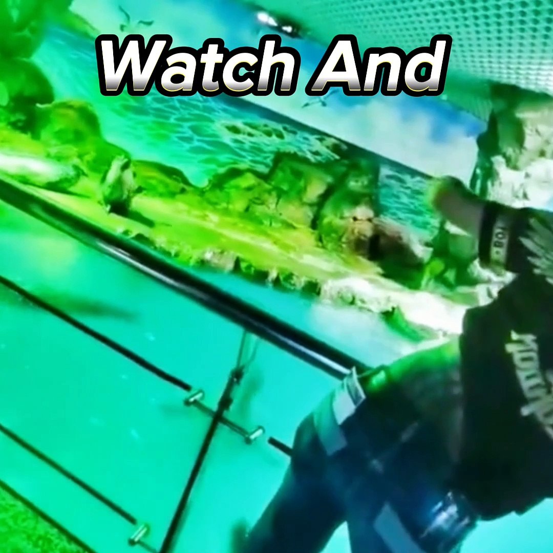 Entertainment video