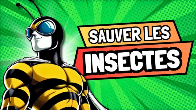 DEVIENS LE HÉROS DES INSECTES