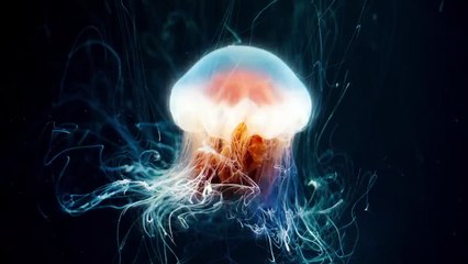 Ocean - Underwater Ambient Journey - Mysterious Ambient Music For Focus And Concentration