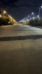 Tiny Chihuahua Goes Full Speed