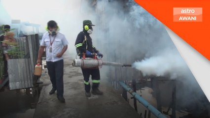 Kes denggi menurun pada ME04, tujuh kematian dilaporkan