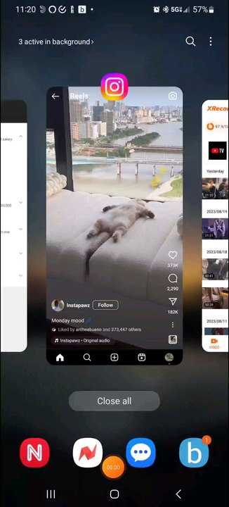 Cat sleeping like a log
