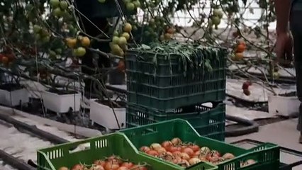 ᴾᵉˡᶦᶜᵘˡᵃ La Misma Luna ᐟᴜɴᴅᴇʀ ᴛʜᴇ sᴀᴍᴇ ᴍᴏᴏɴ ²⁰⁰⁸