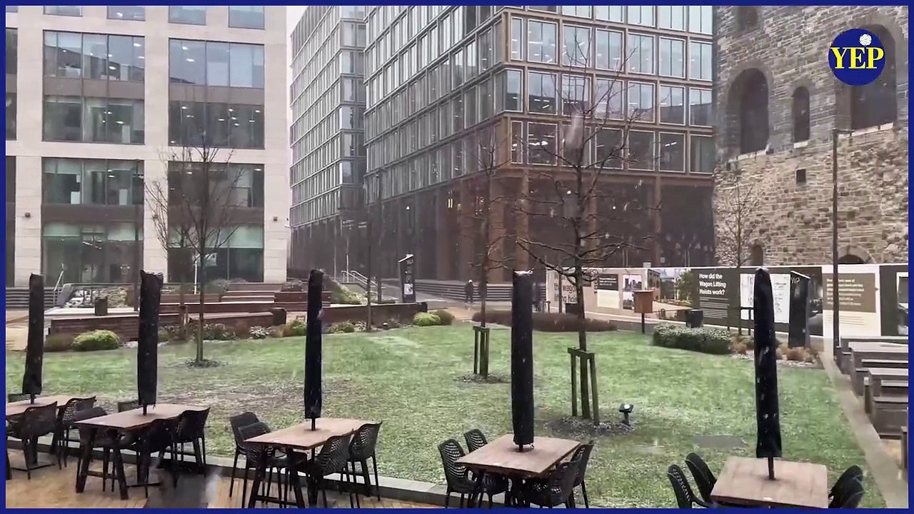 Snow in Leeds: Footage from Roundhay Park, Wellington Place and Chapel Allerton