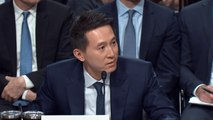 Shou Zi Chew, CEO of ByteDance-owned TikTok, had to confront claims about ties to China in the U.S. Senate: ‘Senator, I’m Singaporean’