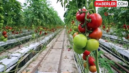 Muğla'da 'Su Merkezli Tarımsal Üretim Planlama' Toplantısı