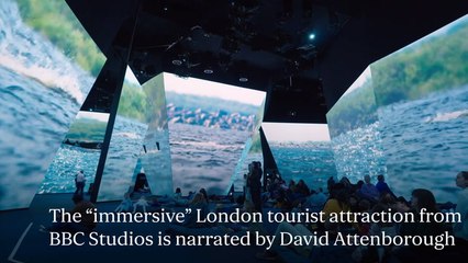 Popular London Tourist Attraction Closes Less Than a Year After Opening 🌿