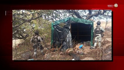 Explosivos que lanzan desde drones, fueron asegurados por guardia nacional en campamento clandestino