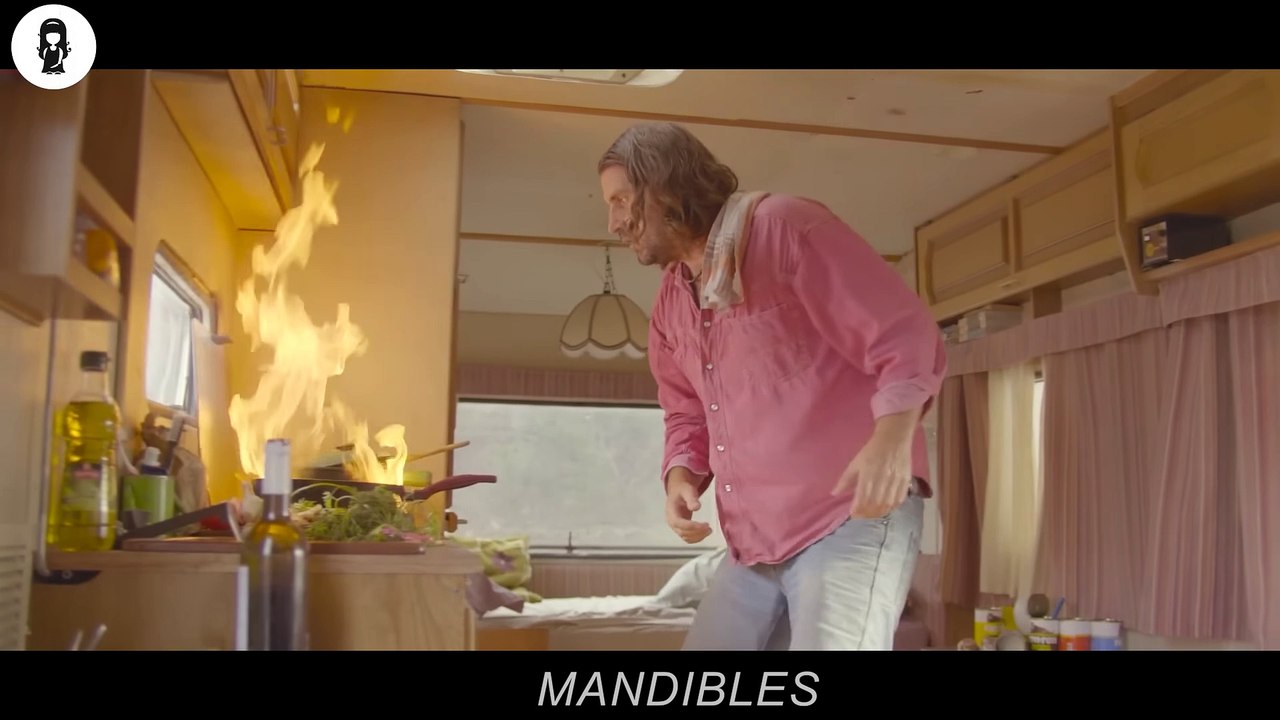 Man Trains A Fly To Steal $500 Million From World's Safest Bank