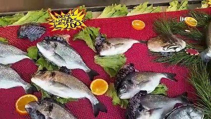 Deniz suyu sıcaklığı düşmedi, hamsi Gürcistan’a kaçtı