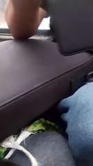 Evacuees Escape From Wildfire in Pickup Truck Bed