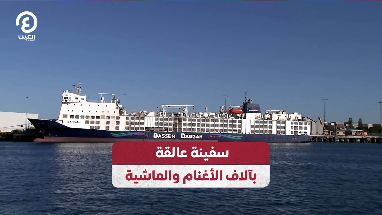 سفينة عالقة بآلاف الأغنام والماشية