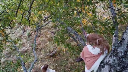 Hilma - Alle Farben der Seele | movie | 2022 | Official Trailer