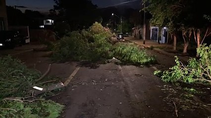 Temporal: após quase um dia, Rua Guaracas segue interditada e morador faz apelo