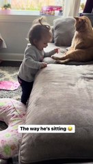 Kids and Cats adorable video