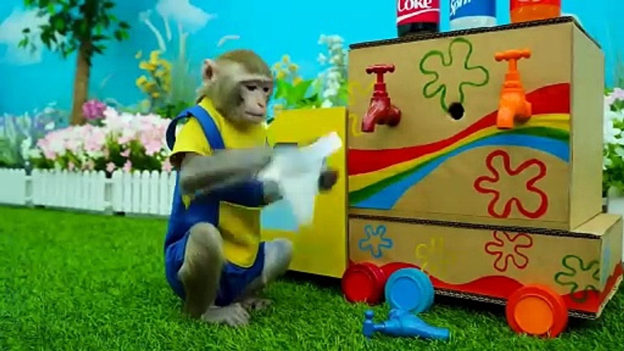 monkey