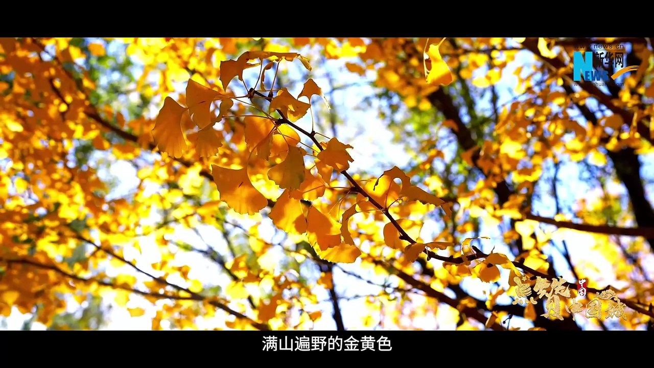 《点赞中国城》系列微访谈——平凉
