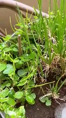 They can make me survive though I don’t have money