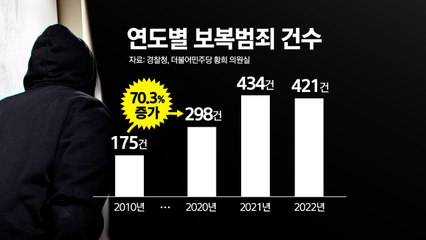 보복범죄 10년새 70% 증가...신변보호 불안 여전 [앵커리포트] / YTN