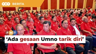Ada ketua bahagian mahu Umno tarik diri daripada kerajaan perpaduan
