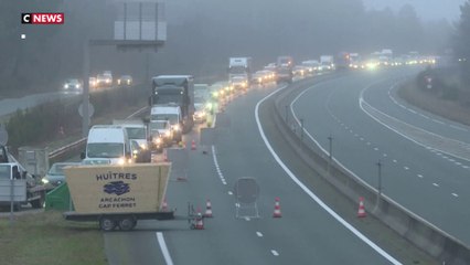 Gironde : les ostréiculteurs bloquent l'autoroute