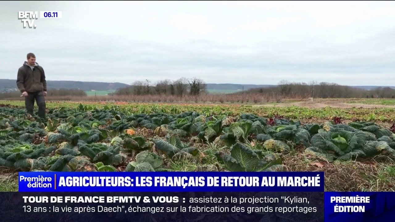 "C'est comme dans le désert": les habitants des Pyrénées-Orientales inquiets de la sécheresse et de la chaleur