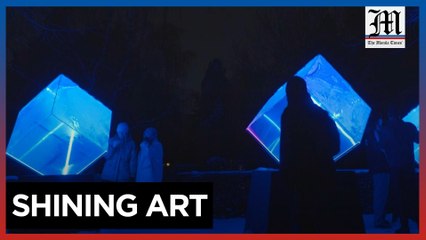 Copenhagen Illuminates February with Stunning Light Festival ✨