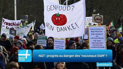 NGT : progrès ou danger des "nouveaux OGM" ?