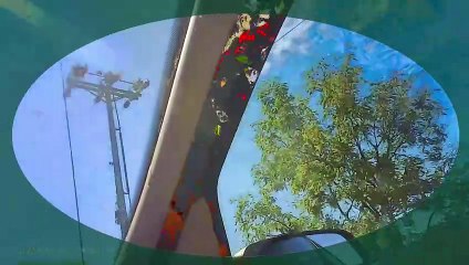 Driving 2 the store and buying cat food on 9 15 23 l Cyberlink.compressed