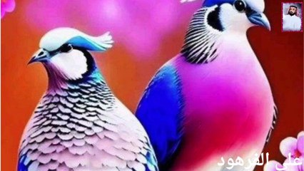 القرآن الكريم بصوت جميل