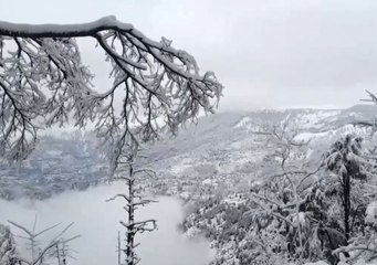 Weather update: প্রবল Snowfall Kashmir-এ, বন্ধ Jammu-Srinagar National Highway!