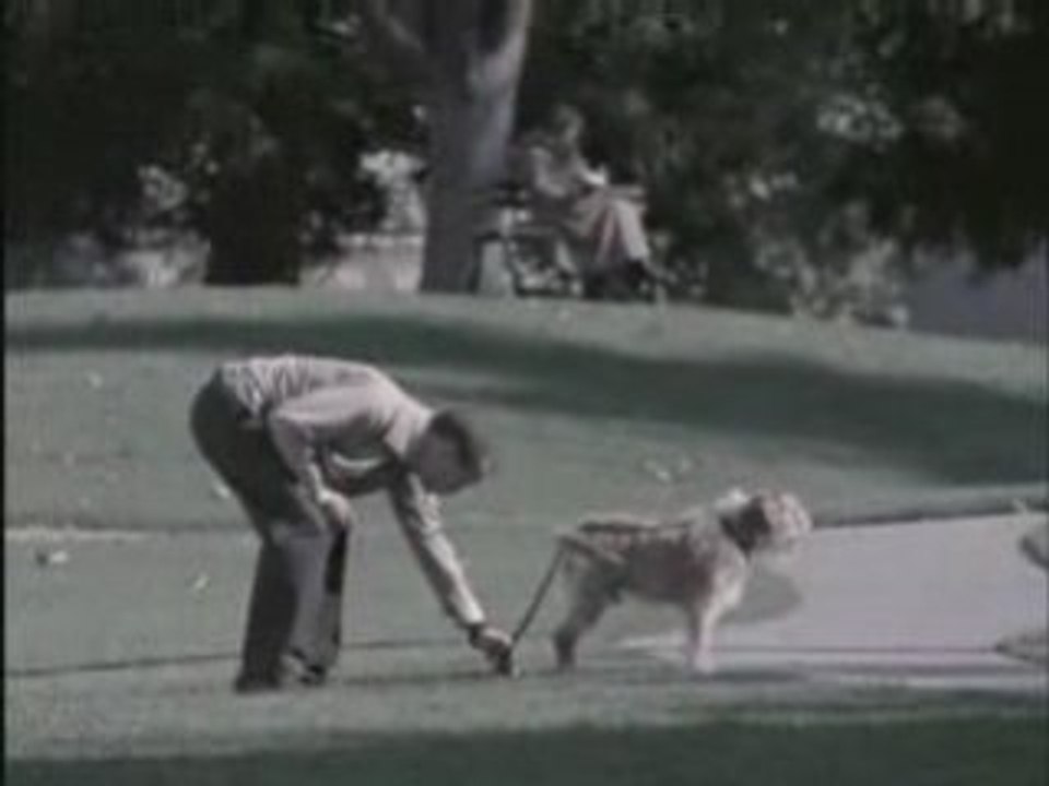 Funny Commercial 4 / Don't Judge Too Quickly