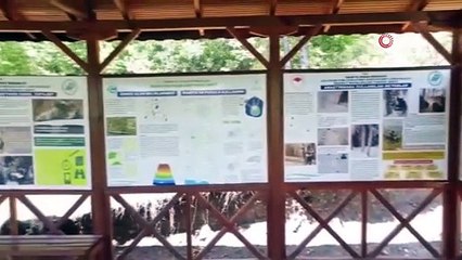 Dünyada nadir jeolojik oluşumlardan biri: Boyabat Bazalt Kayalıkları