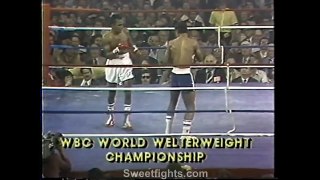 Sugar Ray Leonard vs Wilfred Benitez - boxing - WBC world welterweight title
