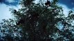 Anne Rice's Mayfair Witches Trailer- Starring Alexandra Daddario - AMC+