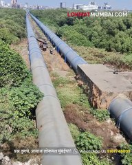 माहीम - सायन लिंक रोडवर वाढणारा कचरा ठरतोय आगीचं कारण