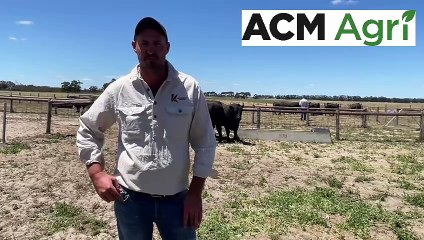 Beef Week Day 4 at Keringa - Feb 6 - Stock Journal