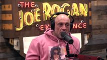 Anticipating Sean Strickland's Title Defense Against Dricus Du Plessis - The Joe Rogan Podcast