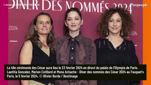 PHOTOS Virginie Efira, divine en micro-trench, face à Marion Cotillard en jean et jabot avant les César