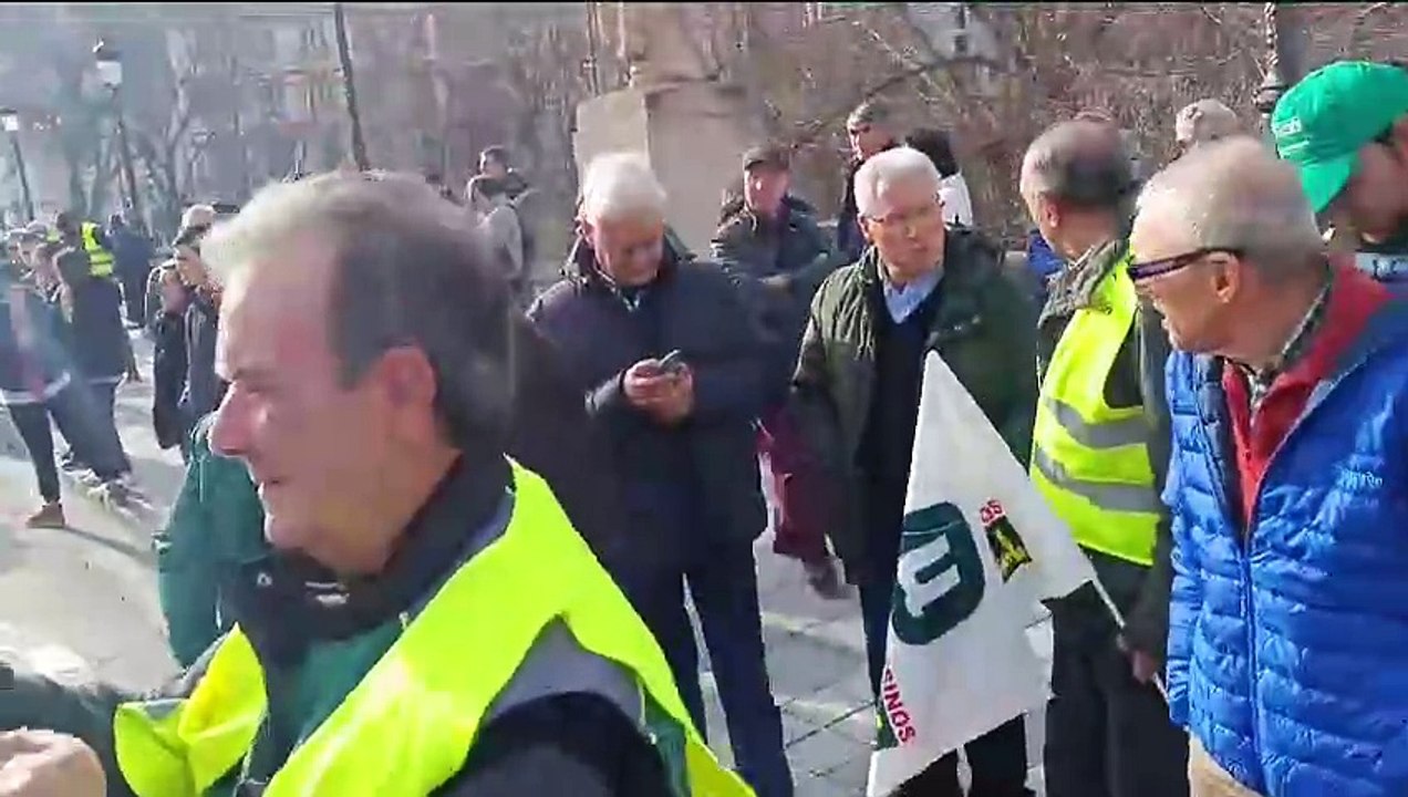 Parada en la plaza de Mío Cid