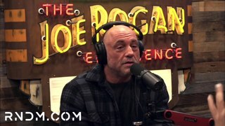 Joe Rogan and Bobby Discuss the best science fiction and Animal Kills EVER