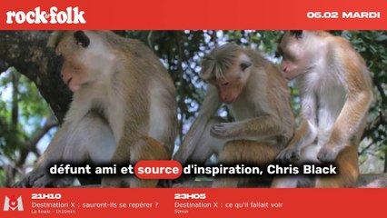 Portugal. The Man dévoile leur nouveau titre "Dummy" et annonce la sortie d'un album à venir.