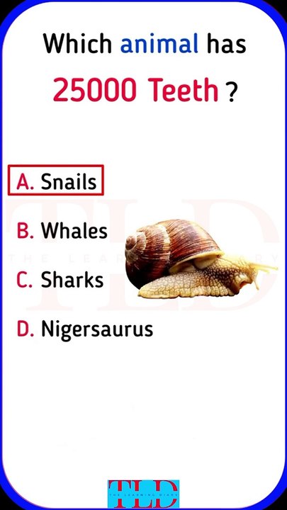 Animal Facts #generalknowledge #educationalvideos #animalfacts #curiosityunleashed #shorts #short