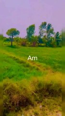 #foryou #nature #decent #beautiful #shortsyoutube #2023 #sindh