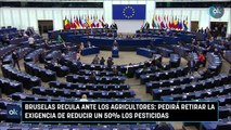 Bruselas recula ante los agricultores pedirá retirar la exigencia de reducir un 50% los pesticidas