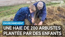 Une haie de 200 arbustes plantée par des enfants à la Grange aux Bois à Polisy