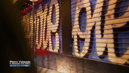 EXTRAIT. Pierre Palmade : la descente aux enfer, que s'est-il vraiment passé ?