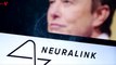 Poll Finds Very Few Americans Would Actually Want a Neuralink Implant Right Now